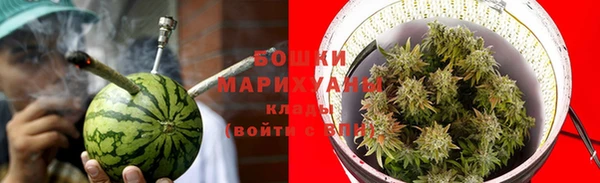 мдпв Елизово