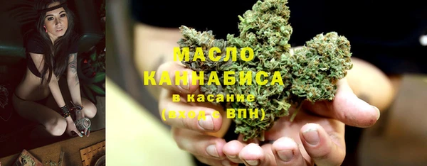 эйфоретик Ельня