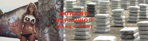 мдпв Елизово
