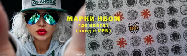 эйфоретик Ельня