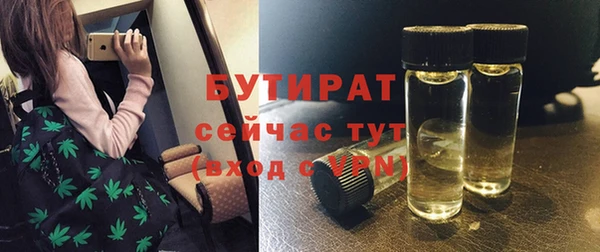 эйфоретик Ельня