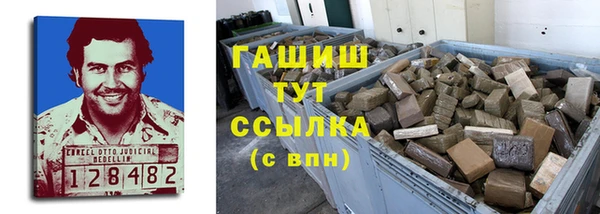 эйфоретик Ельня