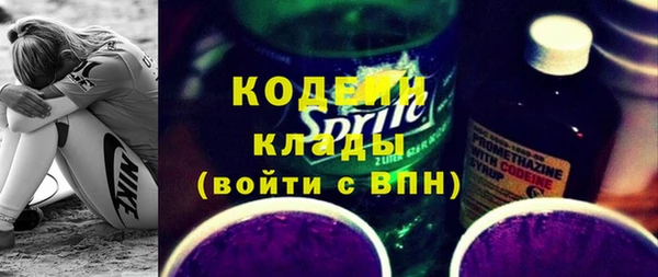эйфоретик Ельня